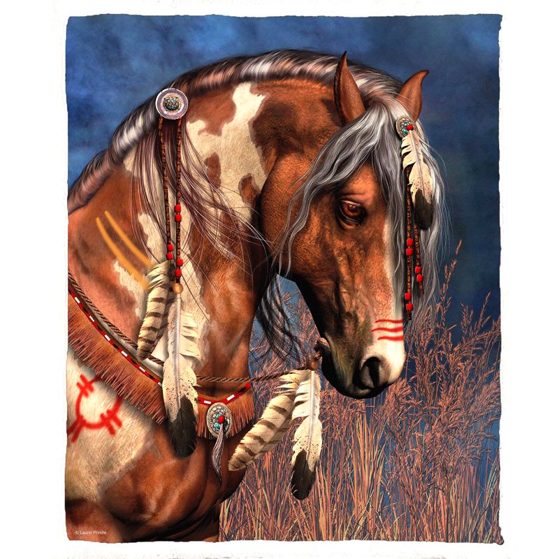 Indianische Flee-Decke - War Pony